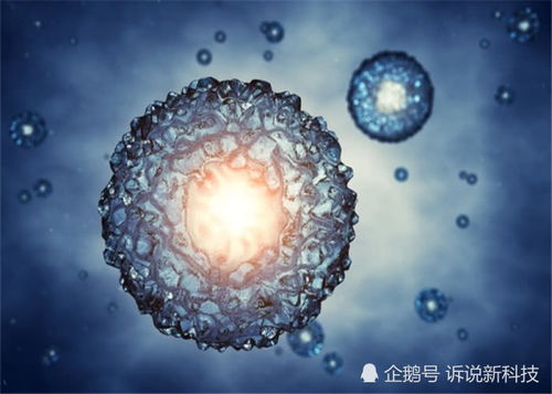 宇宙的隱秘走廊 多維空間與那些科學(xué)無(wú)法解釋的失蹤案